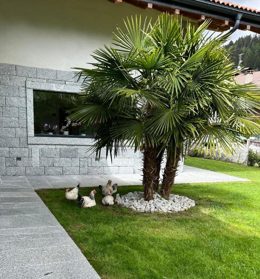 B&B Casa Il Sasso 平佐洛 外观 照片